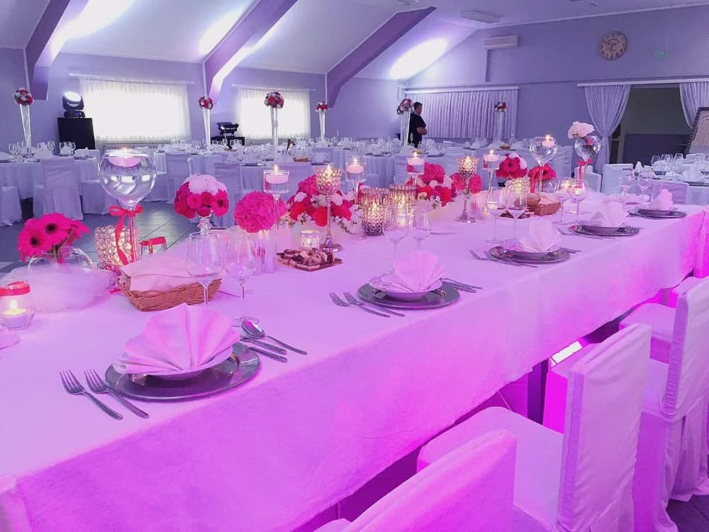 Aranžman i prezentacija jela Catering Muringa
