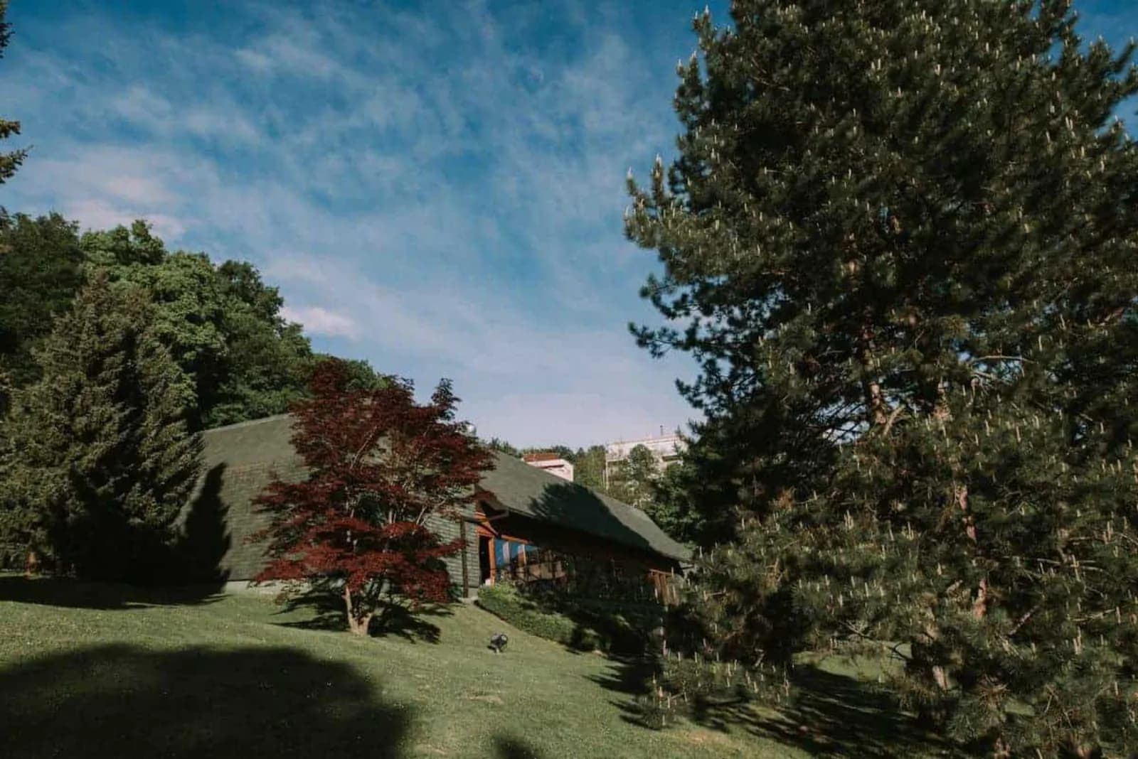 Imanje Marincel - venue photo 7